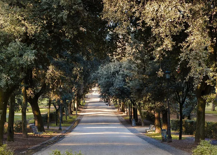 Sonder Barberini